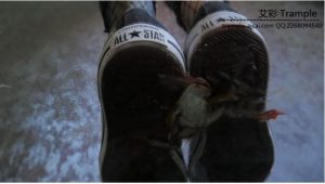 Helga Li 棉袜帆布鞋跺碾小青蛙